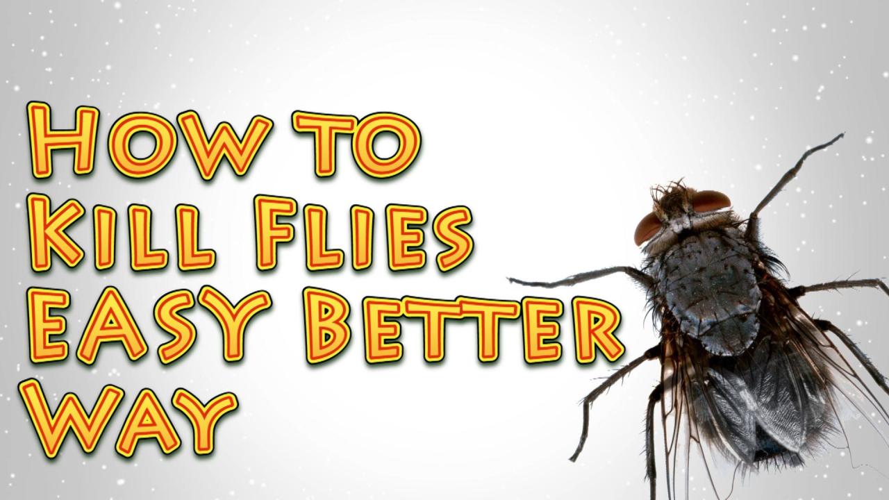 How To Kill Flies