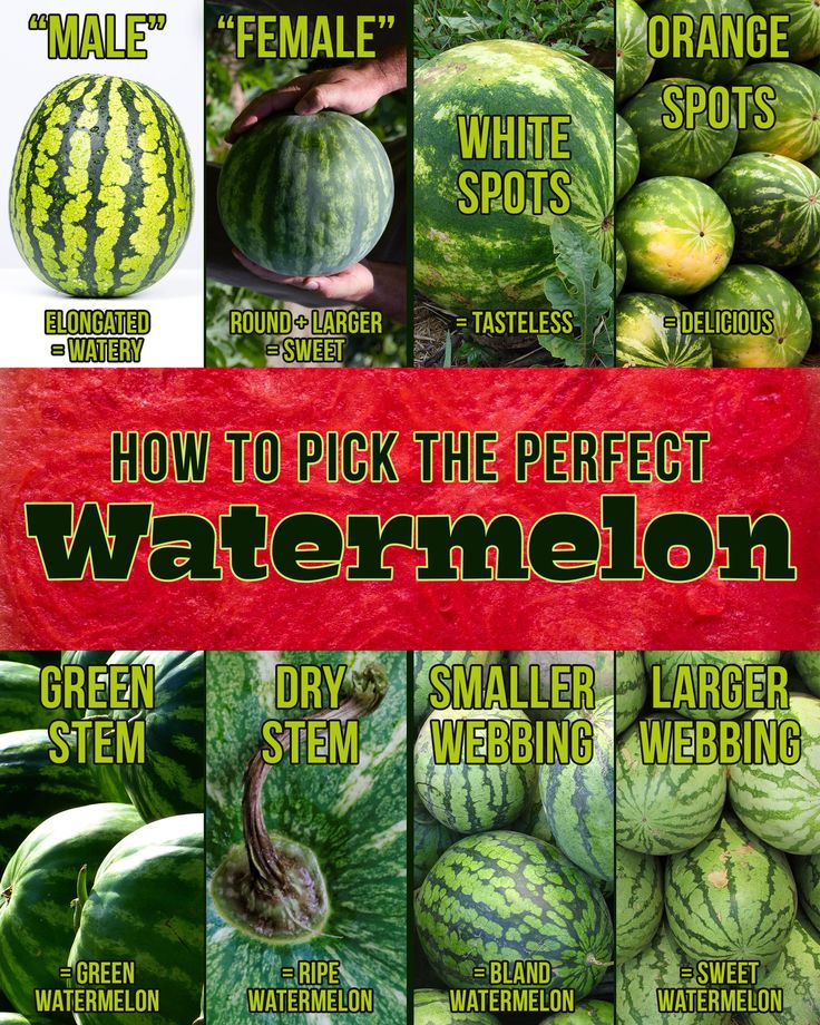 How To Pick A Watermelon