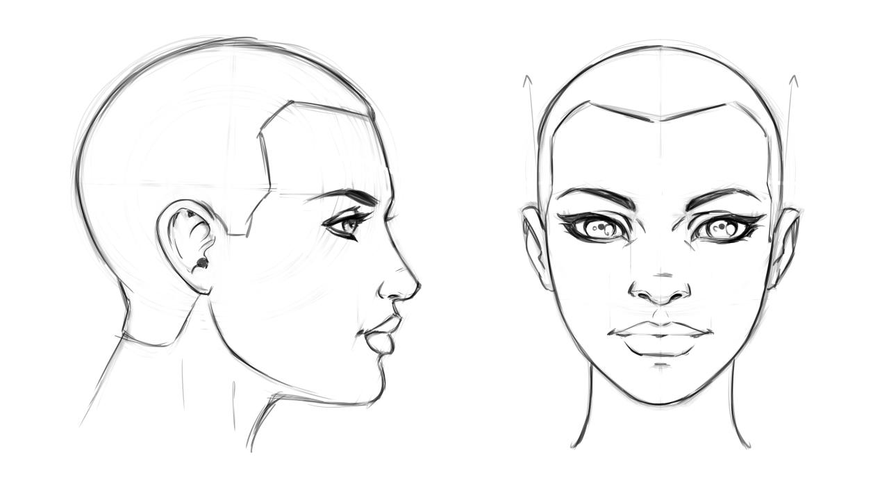 How To Draw A Head