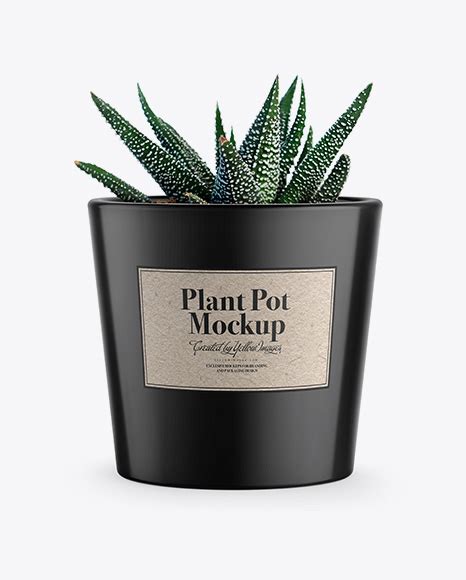 Free Glossy Plant Pot PSD Mockup Mockups 101.98 MB