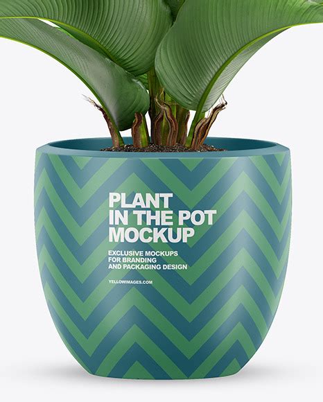 Free Matte Plant Pot PSD Mockup Mockups 110.71 MB