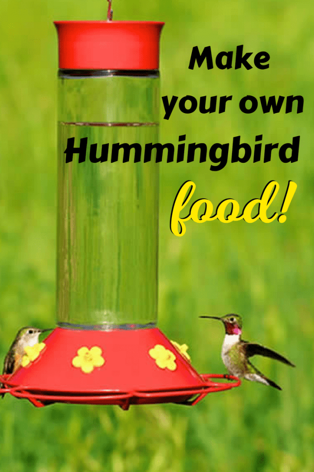 How To Make Hummingbird Food