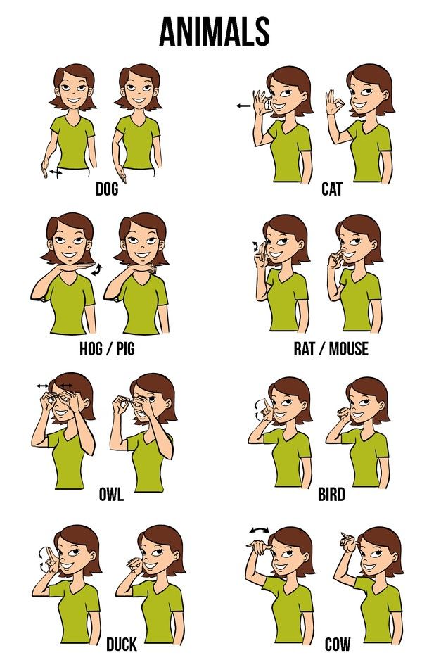 How To Learn Sign Language