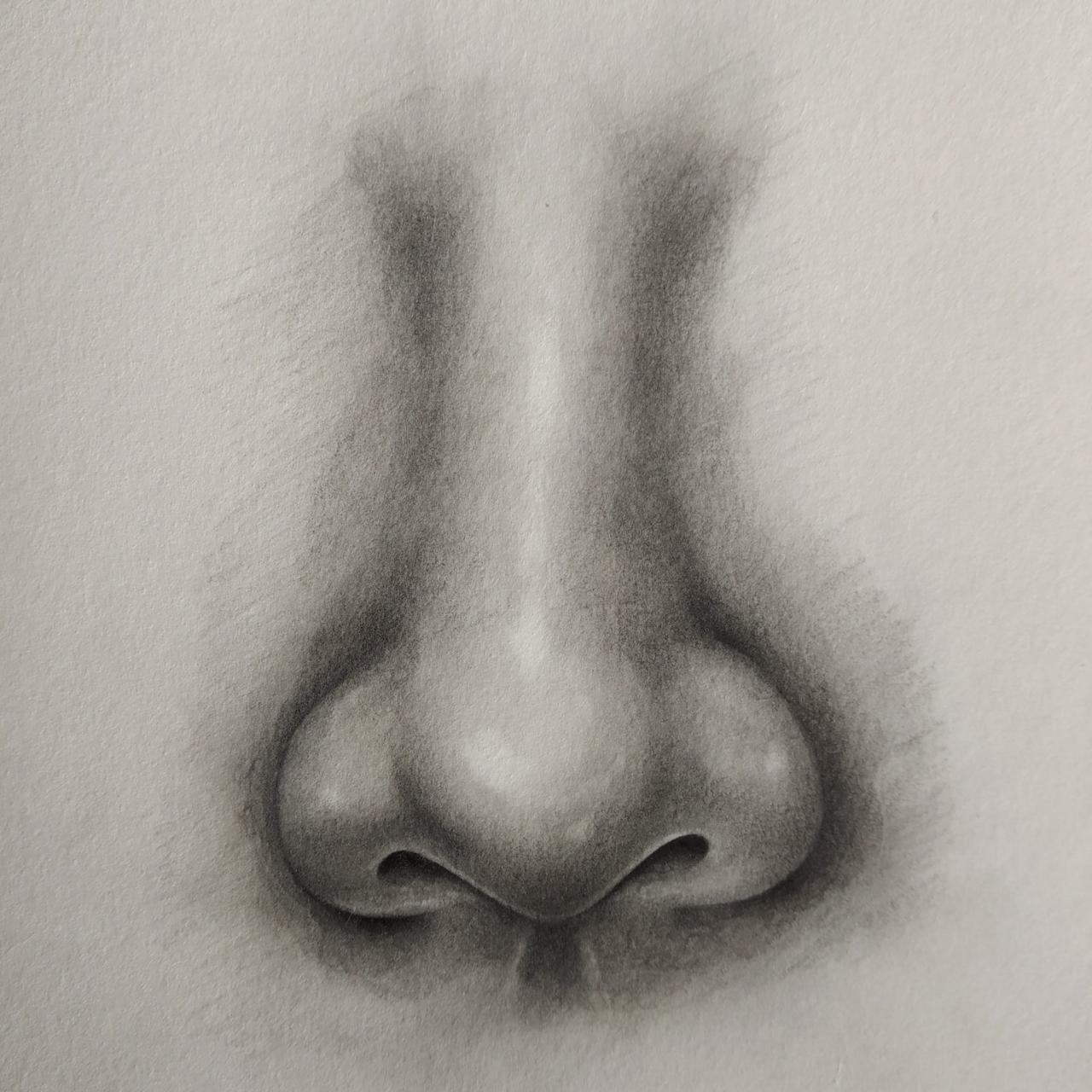 How To Draw A Nose