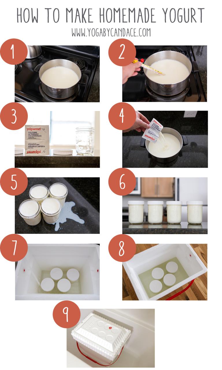 How To Make Yogurt