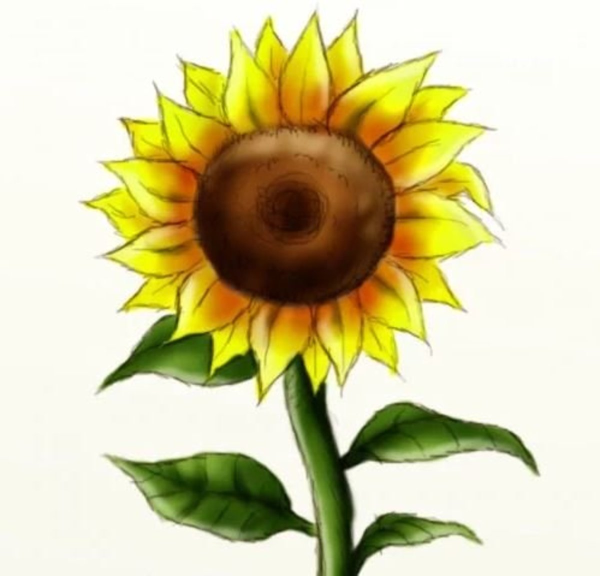 How To Draw A Sunflower