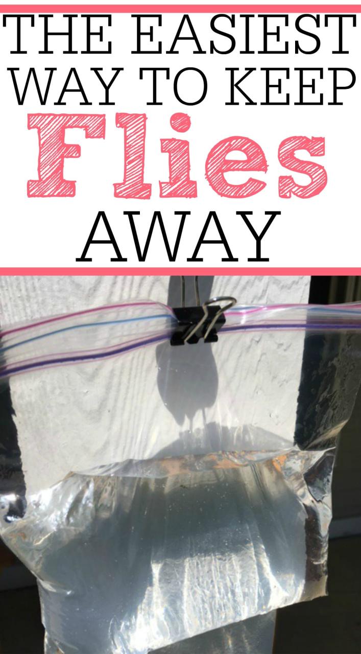 How To Keep Flies Away