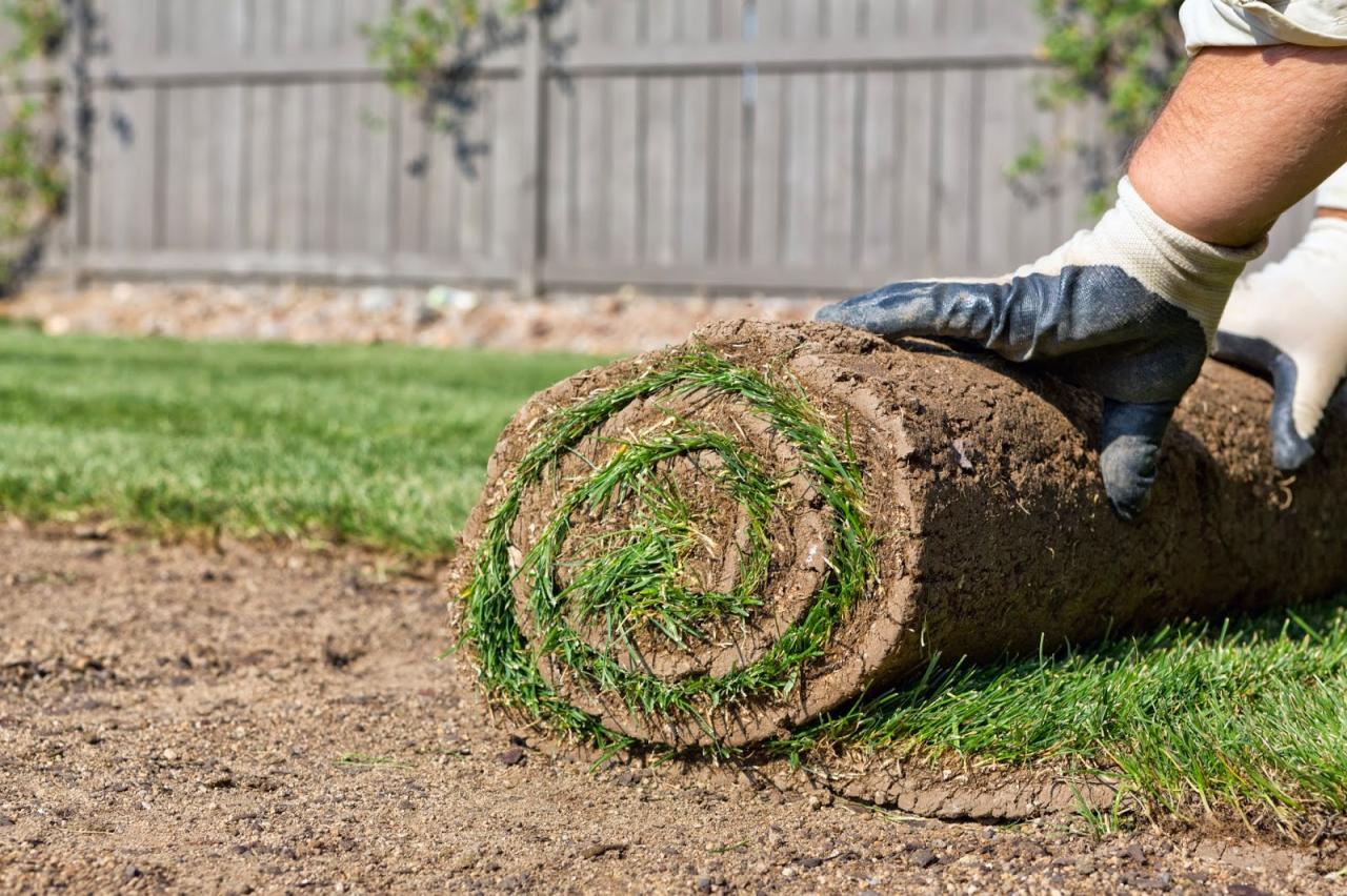 How To Lay Sod