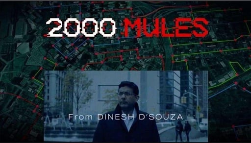 How To Watch 2000 Mules