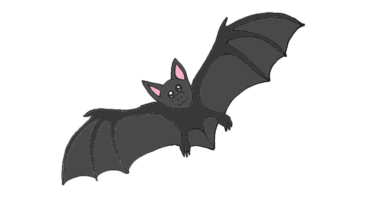 How To Draw A Bat