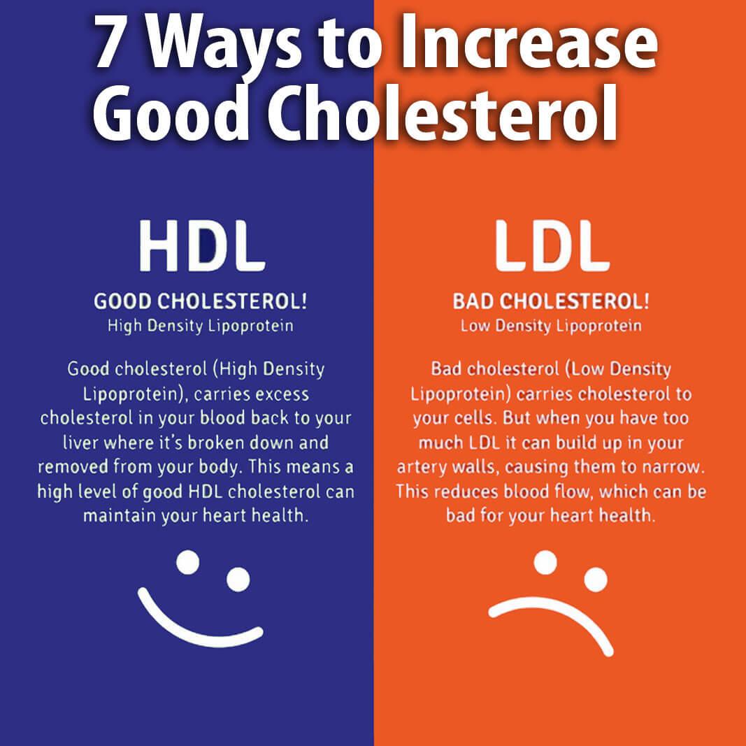 How To Raise Hdl