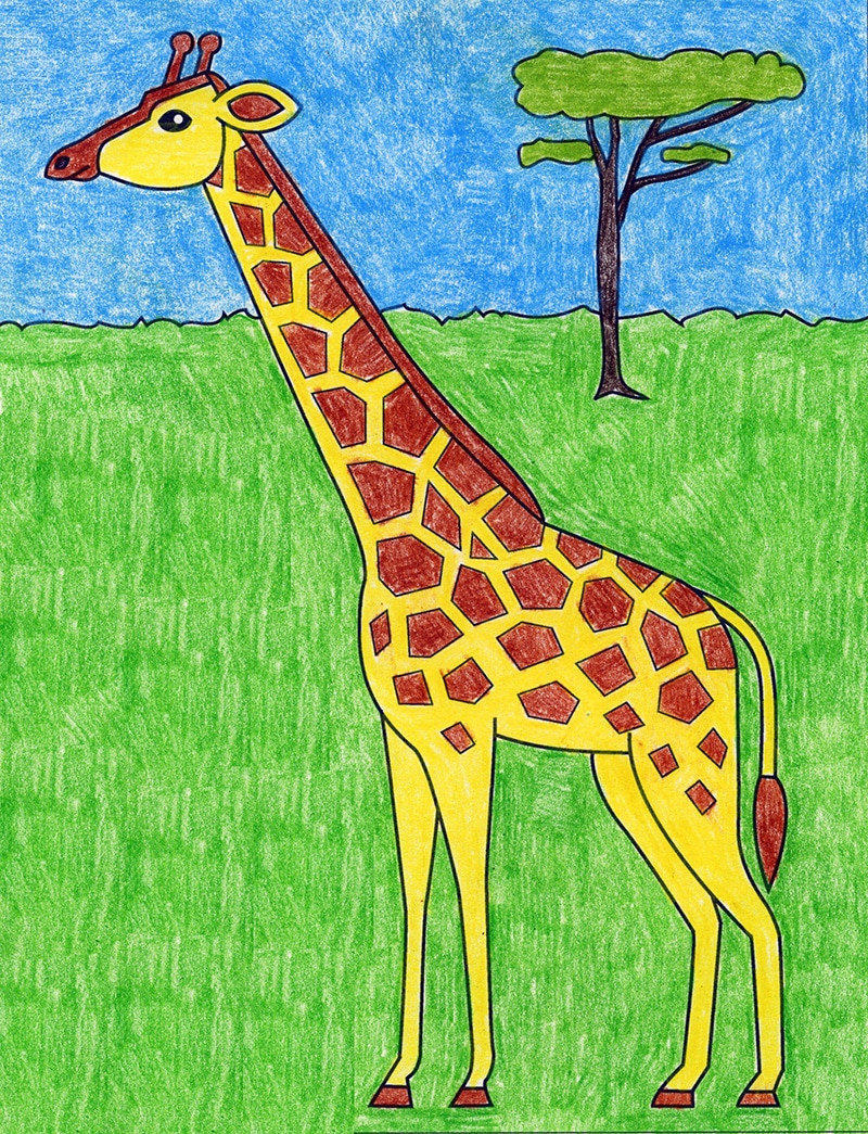 How To Draw A Giraffe