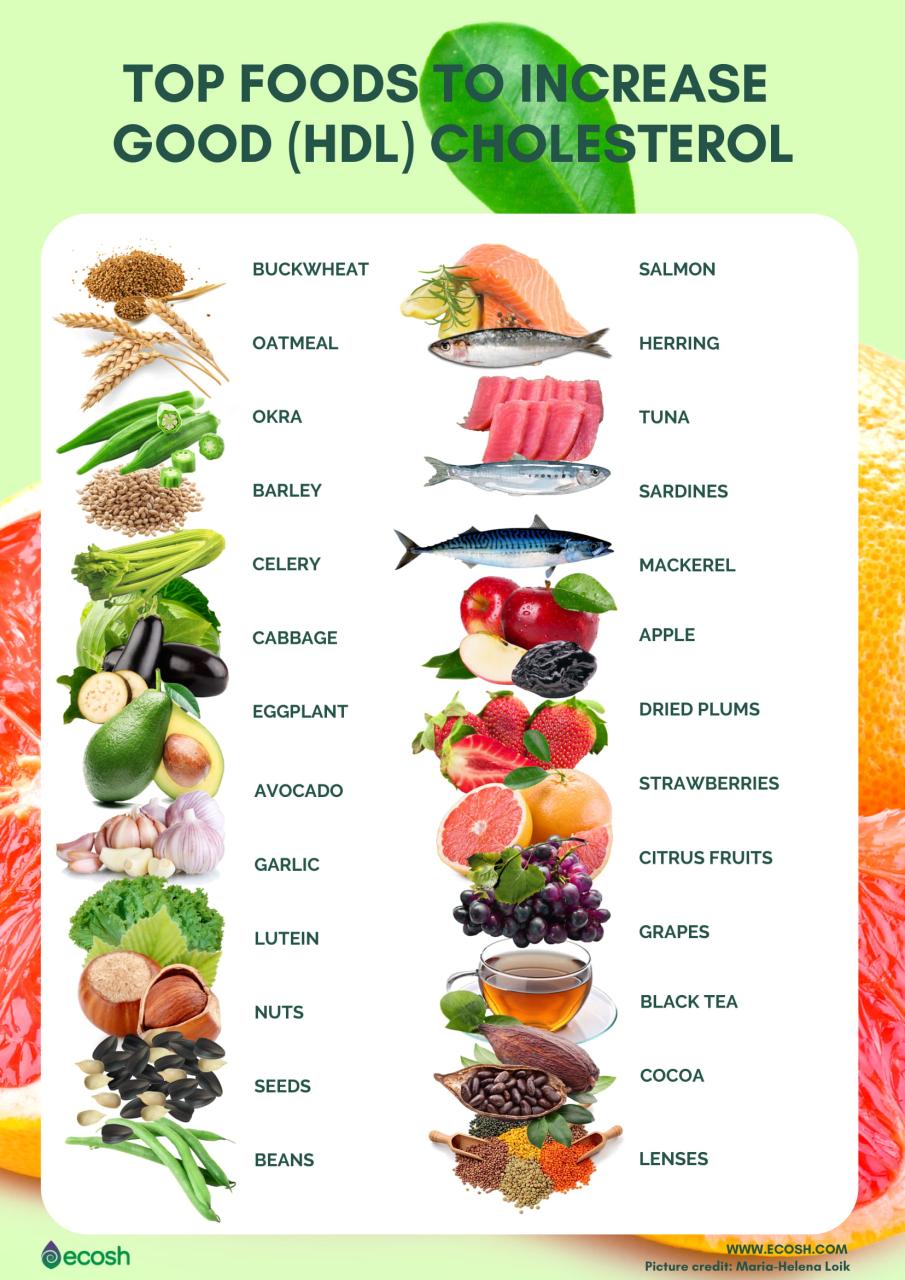 How To Increase Hdl Cholesterol