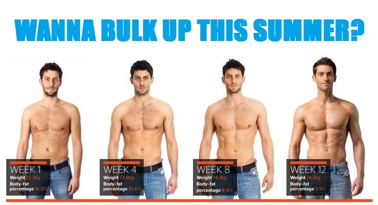 How To Bulk Up