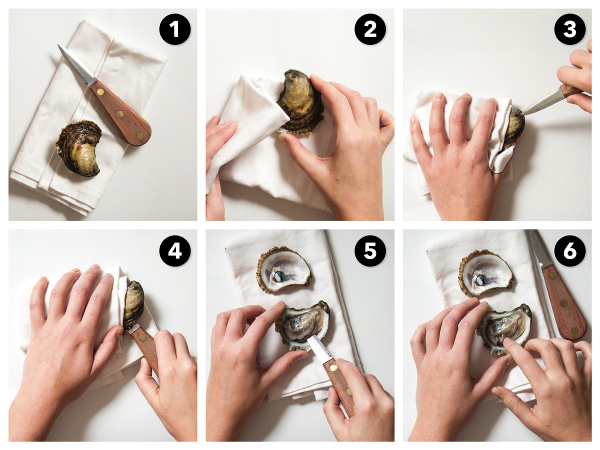 How To Shuck An Oyster