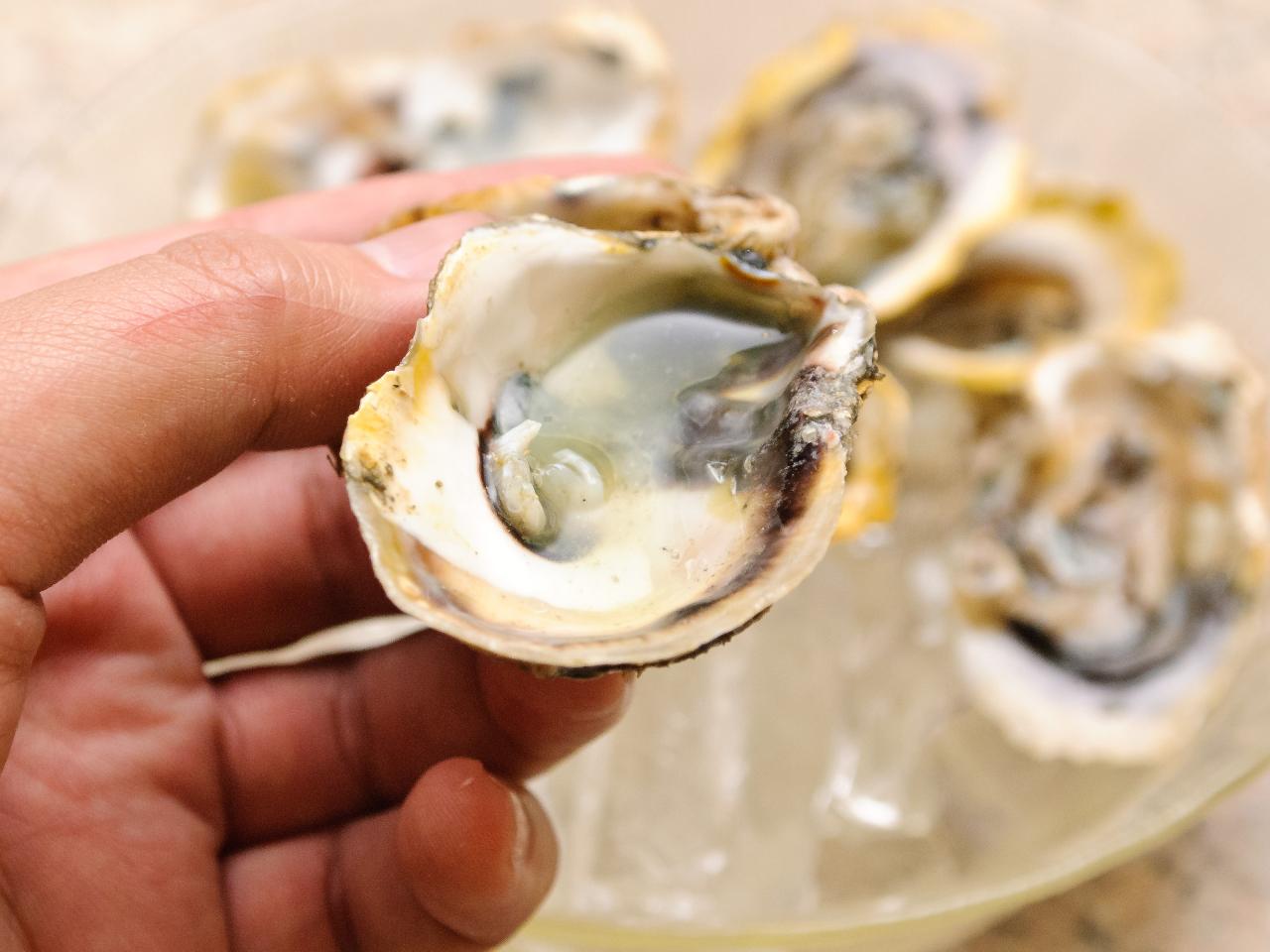 How To Shuck Oysters