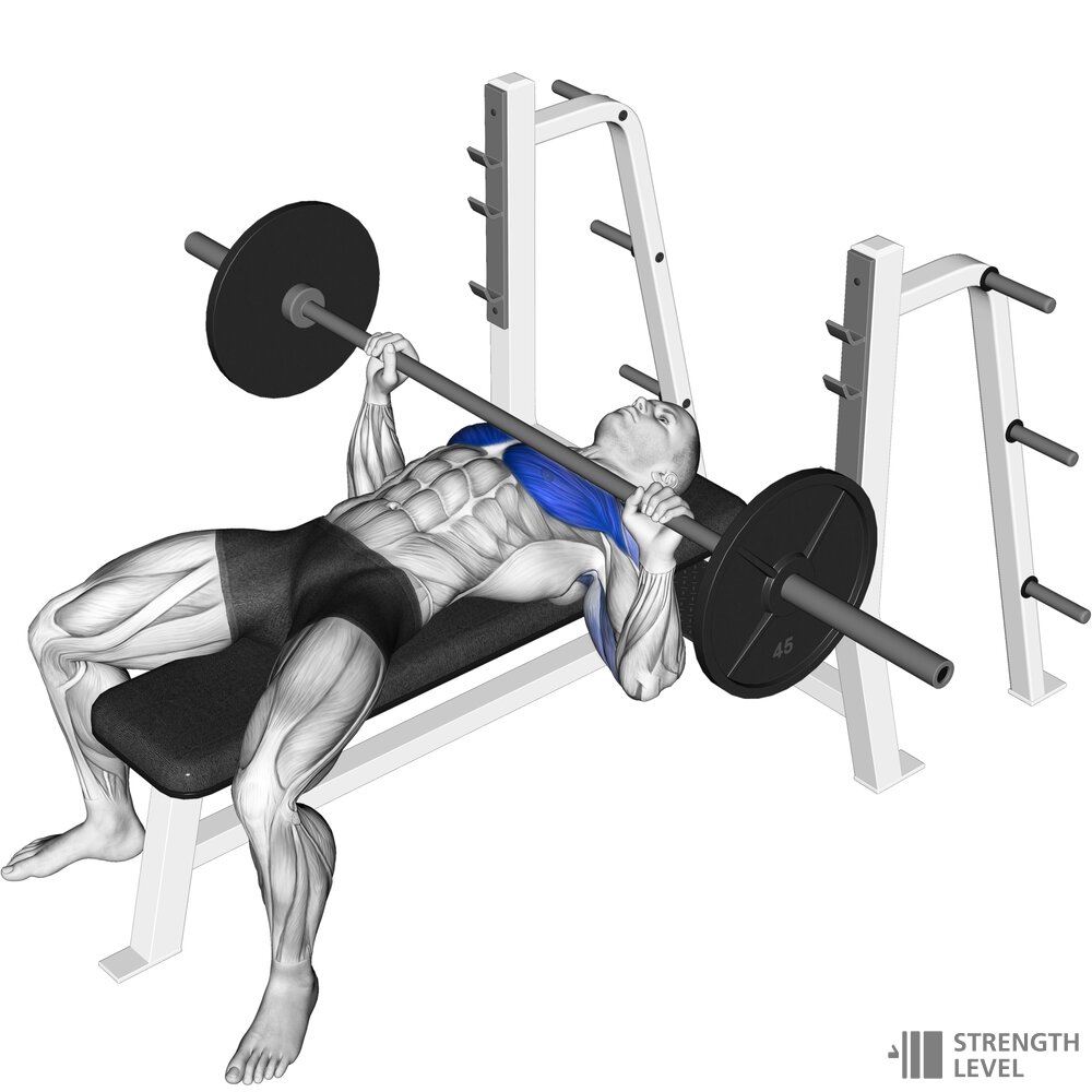 How To Bench Press