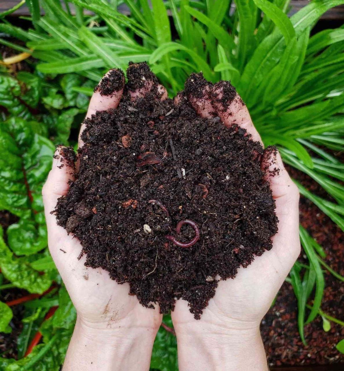 How To Compost