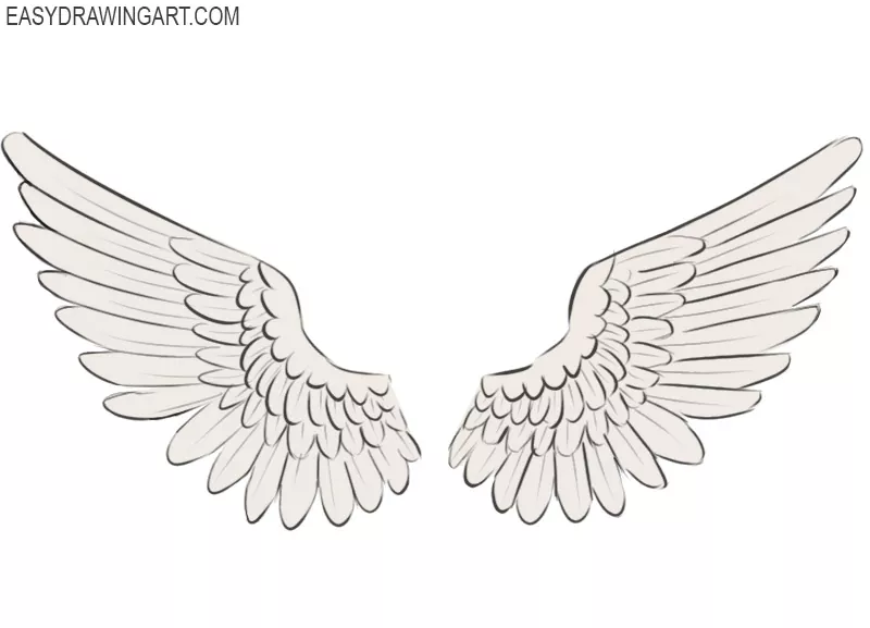 How To Draw Wings