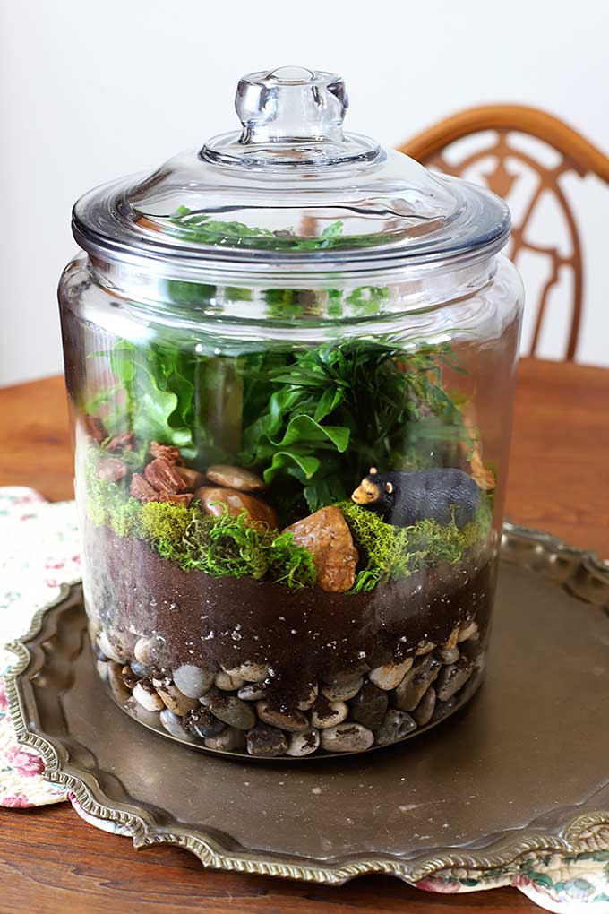 How To Make A Terrarium