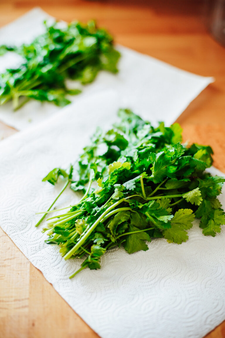 How To Store Cilantro