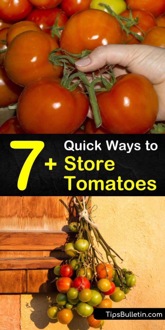 How To Store Tomatoes