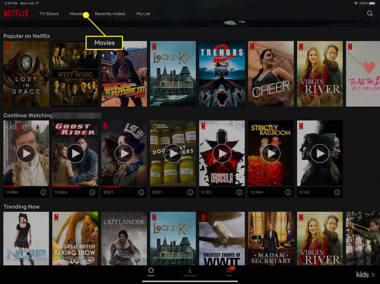 How To Download Netflix Movies