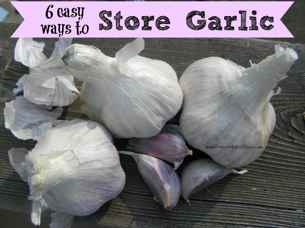 How To Store Garlic